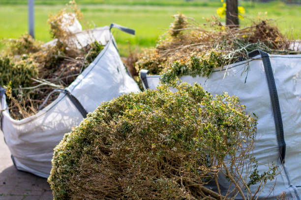 Best Same-Day Junk Removal  in Waipahu, HI